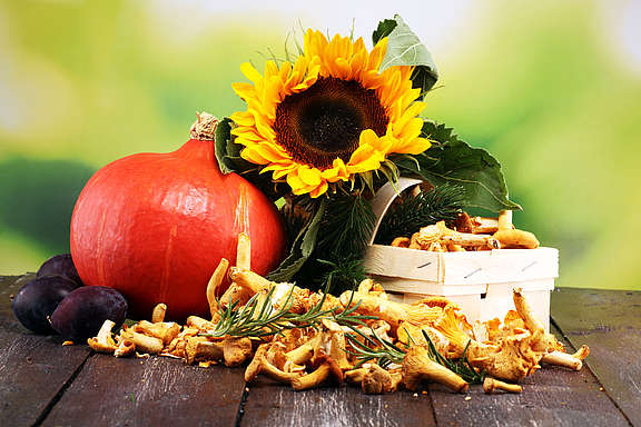 Herbstkarte.jpg  