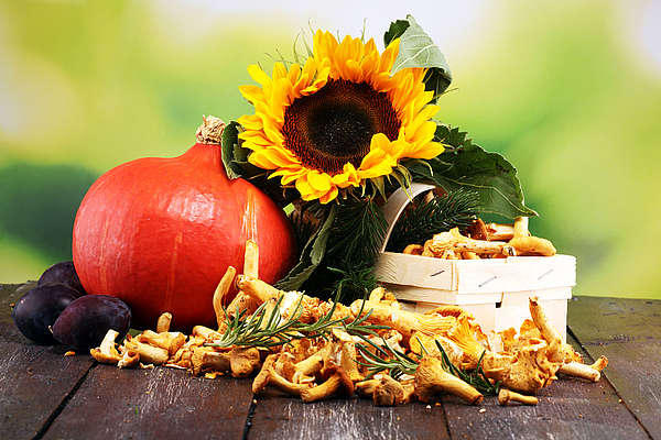 Herbstliches Bild mit Kürbis, Pilzen und Sonnenblume